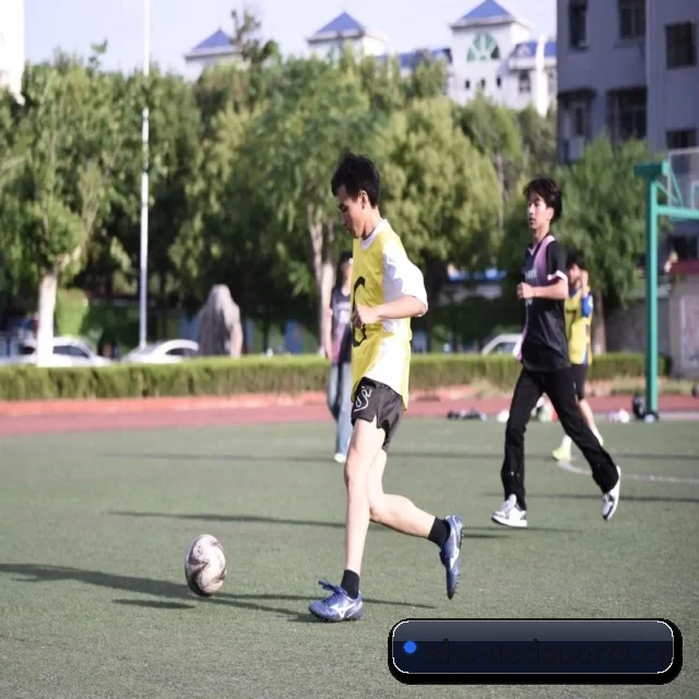 UED体育 APP 界面